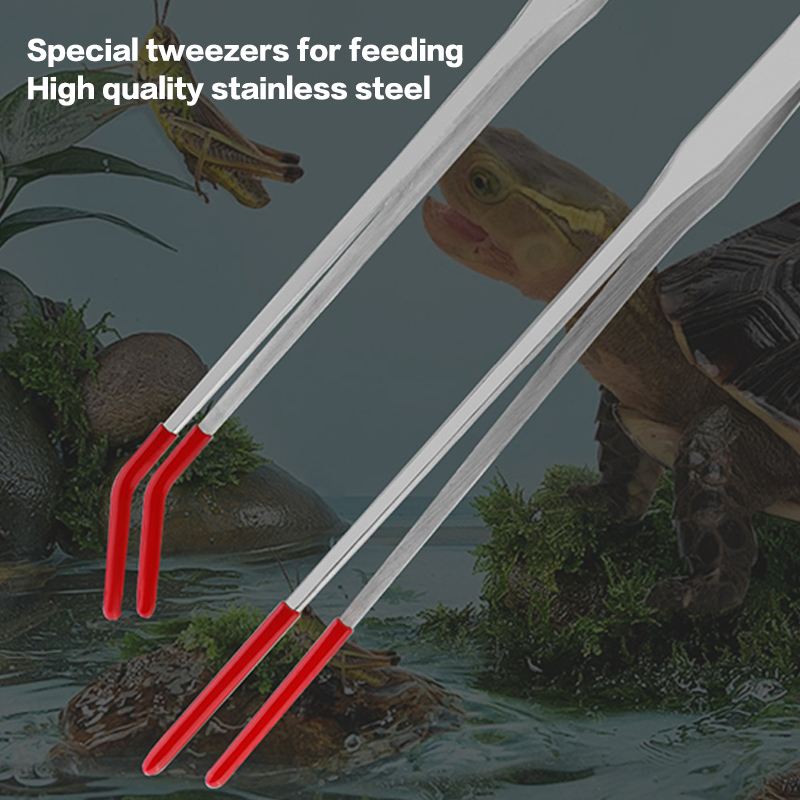 Narzędzia do konserwacji akwar – Feeding Tong Stainless recenzja i cena