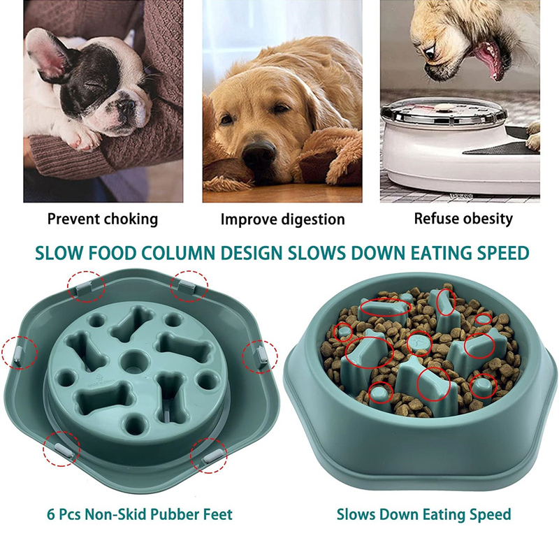 Miska wolnojadąca dla psa, mis – Royal Canin Food Medium recenzja i cena